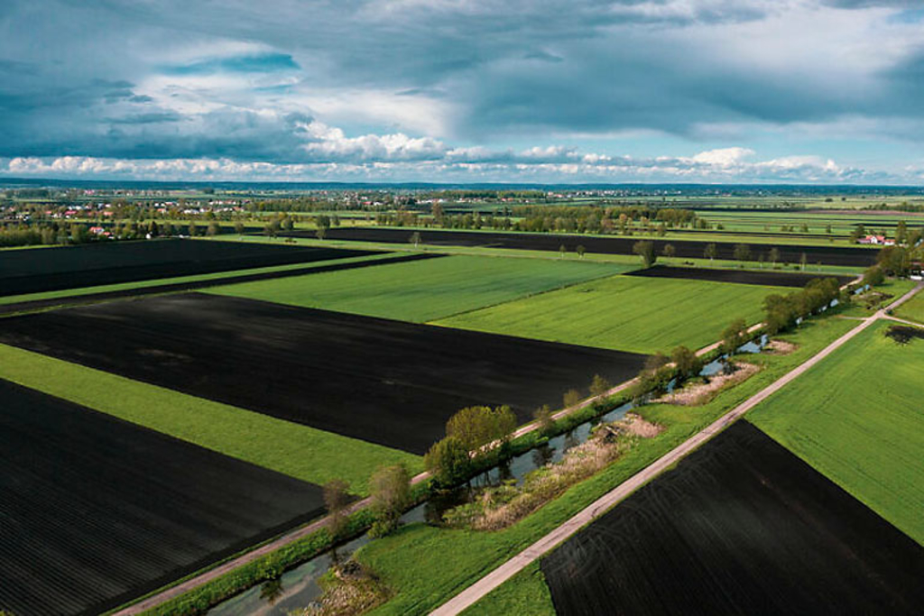 Wichtiger Beitrag zur Klimabilanz